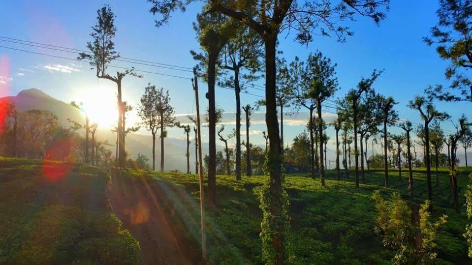 Gruenberg Tea Plantation Haus Bed and Breakfast Munnar Εξωτερικό φωτογραφία