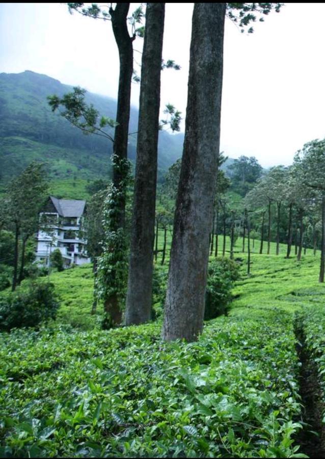 Gruenberg Tea Plantation Haus Bed and Breakfast Munnar Εξωτερικό φωτογραφία