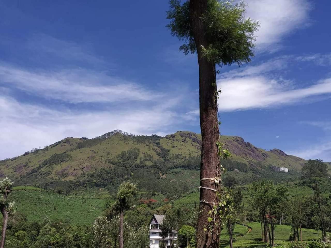 Gruenberg Tea Plantation Haus Bed and Breakfast Munnar Εξωτερικό φωτογραφία